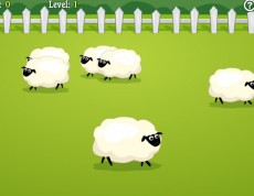 Count the Sheep - Zrátaj všetky ovečky